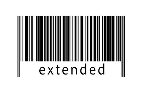 Digitalization concept. Barcode of black horizontal lines with inscription ex Illustrazione stock