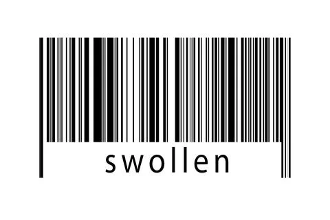 Digitalization concept. Barcode of black horizontal lines with inscription sw Illustrazione stock