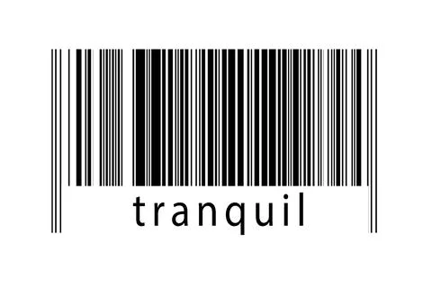 Digitalization concept. Barcode of black horizontal lines with inscription tr Illustrazione stock