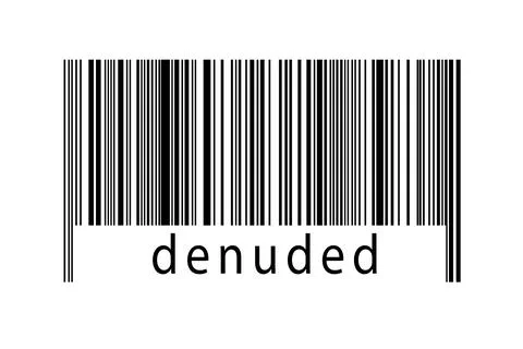 Digitalization concept. Barcode of black horizontal lines with inscription de Stock-Illustration