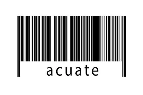 Digitalization concept. Barcode of black horizontal lines with inscription ac 스톡 일러스트