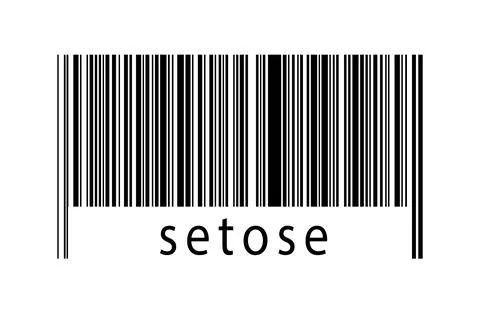 Digitalization concept. Barcode of black horizontal lines with inscription se 스톡 일러스트