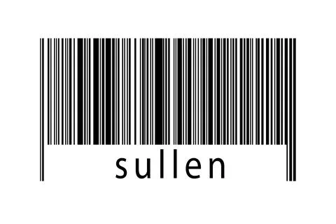 Digitalization concept. Barcode of black horizontal lines with inscription su 스톡 일러스트