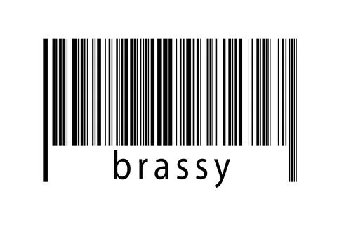 Digitalization concept. Barcode of black horizontal lines with inscription br Stock Illustration