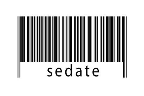 Digitalization concept. Barcode of black horizontal lines with inscription se 스톡 일러스트
