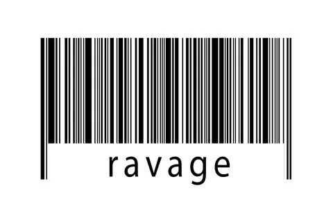 Digitalization concept. Barcode of black horizontal lines with inscription ra 스톡 일러스트