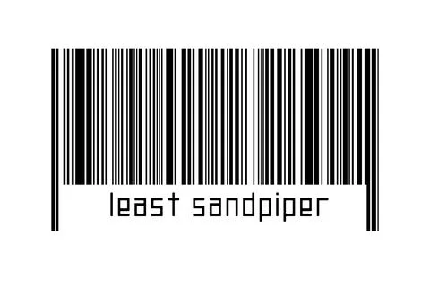 Digitalization concept. Barcode of black horizontal lines with inscription le Stock-Fotos