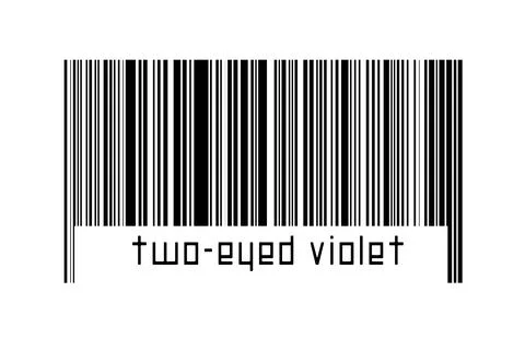 Digitalization concept. Barcode of black horizontal lines with inscription tw Stock-Fotos