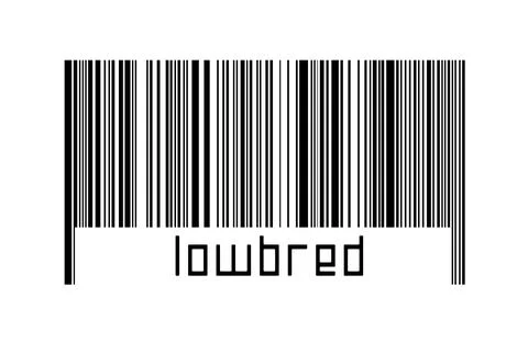 Digitalization concept. Barcode of black horizontal lines with inscription lo Stock-Fotos