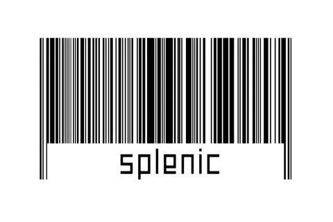 Digitalization concept. Barcode of black horizontal lines with inscription sp 库存照片