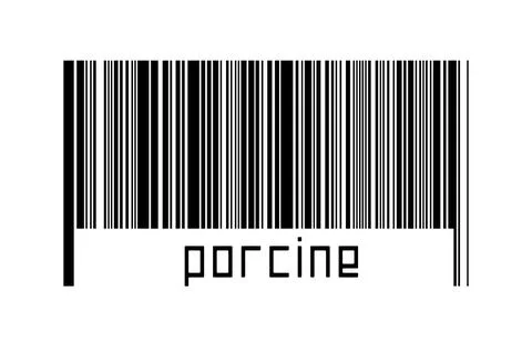 Digitalization concept. Barcode of black horizontal lines with inscription po Stock-Fotos