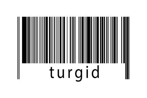 Digitalization concept. Barcode of black horizontal lines with inscription tu Stock-Fotos