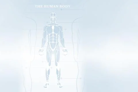 Digitally composite image of human body skeleton Stock Illustration