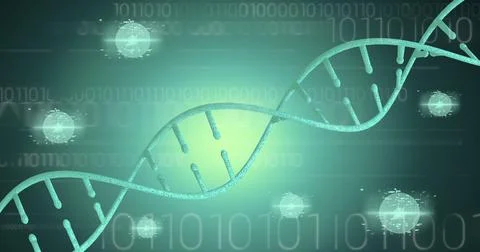 Digitally generated image of dna structures against binary coding on green Illustrazione stock