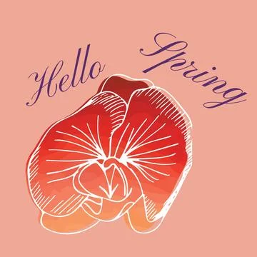 Digitally generated image of hello spring text banner and rose flower icon Stock Photos