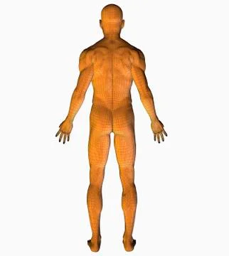Digitally generated image of human representation Stock Illustration