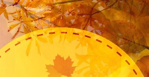 Digitally generated image of maple leaf over yellow banner against tree in Stock Photos