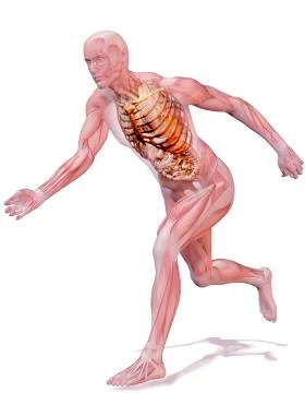 Digitally generated image of running human representation with inner human Stock Illustration