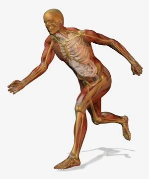 Digitally generated image of running male likeness Stock Illustration