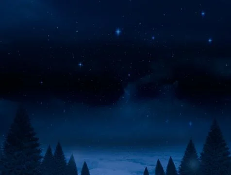 Digitally generated Night sky over forest Ilustração Stock