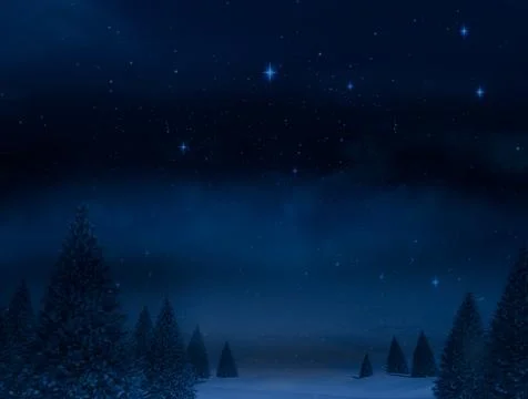 Digitally generated Night sky over forest Ilustração Stock