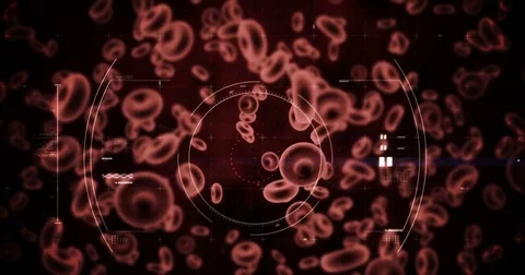 Digitally generated virus cells and red blood cells against black background Stock Footage 72860508