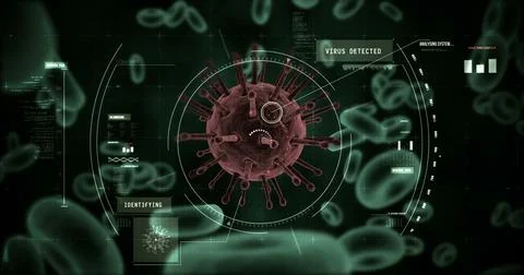 Digitally generated virus cells and red blood cells against black background Stockfoto's