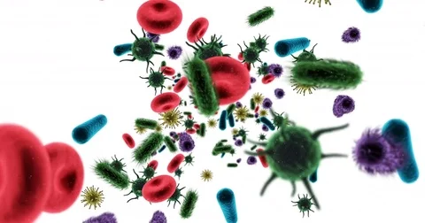 Digitally generated virus cells, red blood cells and bacteria against white Stock Footage 72859952