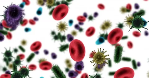 Digitally generated virus cells, red blood cells and bacteria against white 스톡 동영상 72860172