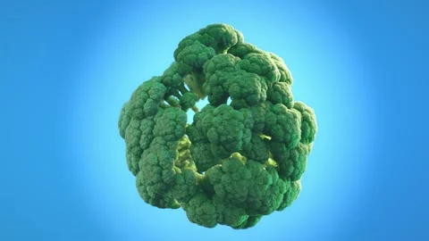 A digitally rendered animation of a broccoli crown Stock Footage 315099135