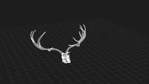 Digitally Rendered Antler Skull with Transparent Grid on Dark Background 库存影片 343035216