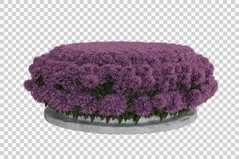 A digitally rendered, round arrangement of densely packed, light purple flo.. Stock Illustration