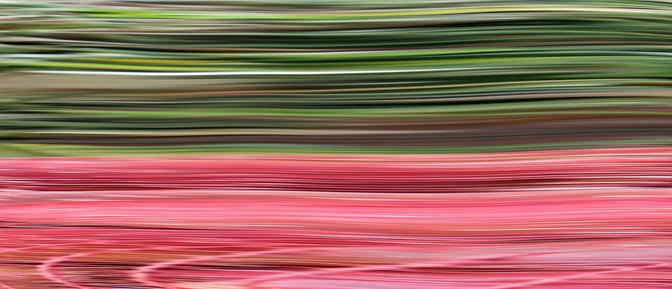Digitaly generated image, background, Illustrazione stock