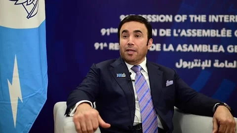 Digitisation one of best responses to organised crime, says Interpol president,  Stock Footage 256796784