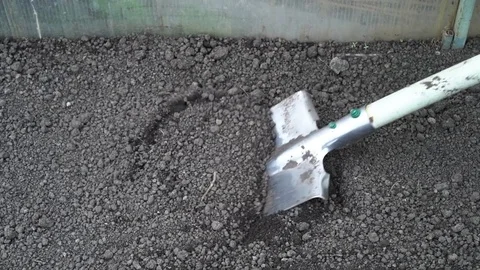 Digs up the ground for planting. Close up Vidéo 75687542