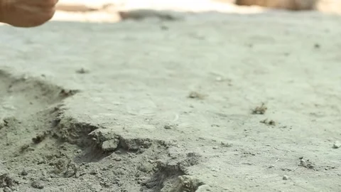 Digs the ground with a tool 1 Video stock 323791780
