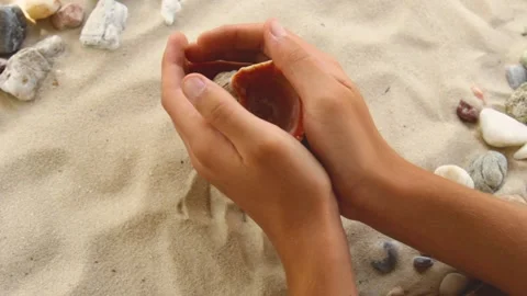 Digs a large seashell out of the sea sand with his hands. Sunny coast of the sea Stock Footage 189409832