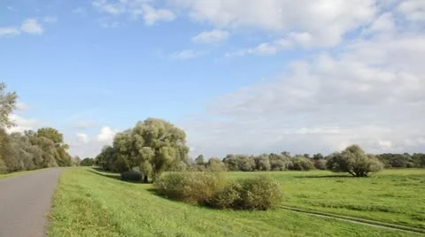 Dike bordering flood meadows, Unteres Odertal National Park, Germany Stock Footage 12864028
