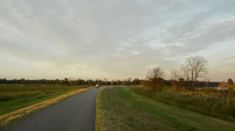 Dike bordering flood meadows, Unteres Odertal National Park, Germany Stock Footage 18007485