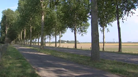 Dike road with row of trees + tilt up. Goeree-Overflakkee, The Netherlands Stock Footage 41637044