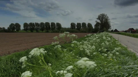 Dike_farm_road 스톡 동영상 49162621