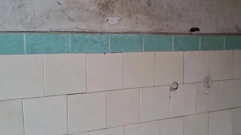 Dilapidated bathroom wall tiles moving in retro interior Stock Footage 345362119