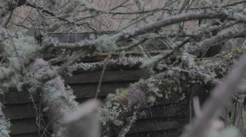 Dilapidated boat - close up Stock Footage 48940846