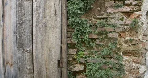 Dilapidated Brick House Facade Stock Footage 113766331