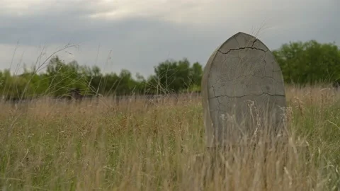 A dilapidated cracked old headstone surrounded with dry grass  Stock Footage 155023939