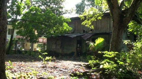 Dilapidated House Stock Footage 639537