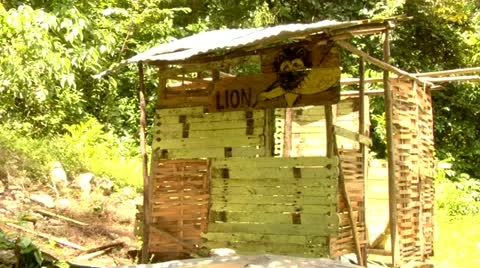 Dilapidated Shack Stock Footage 22159575