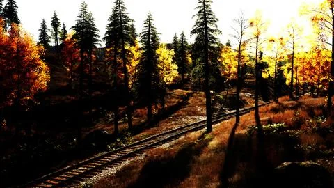 Dilapidated train tracks traversing a forest of fir trees at sunset Ilustração Stock