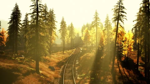 Dilapidated train tracks weaving through a thicket of spruce trees at sundown Stock Footage 248733516