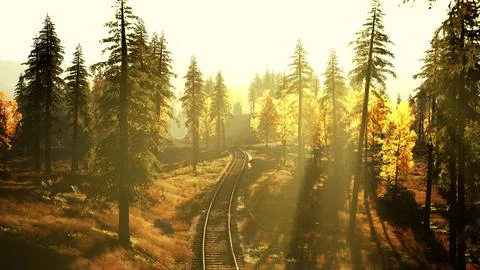 Dilapidated train tracks weaving through a thicket of spruce trees at sundown Stock Illustration